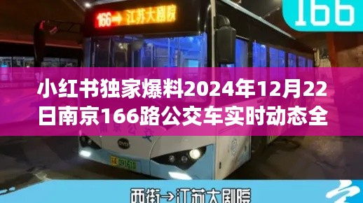 小红书独家揭秘，南京166路公交车2024年12月22日实时动态全记录曝光