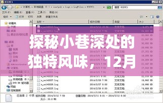 探秘小巷深处美食与解读IIS日志之旅，12月22日实时揭秘