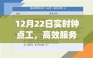 揭秘高效钟点工服务的秘诀，实时响应与案例分析