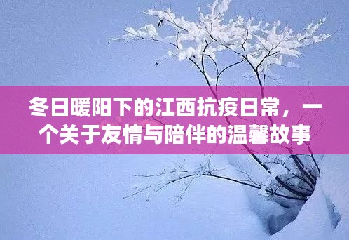 江西抗疫日常，冬日暖阳下的友情与陪伴之道