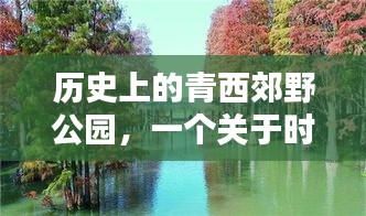 历史青西郊野公园，时间的探索与实时视频记录之旅