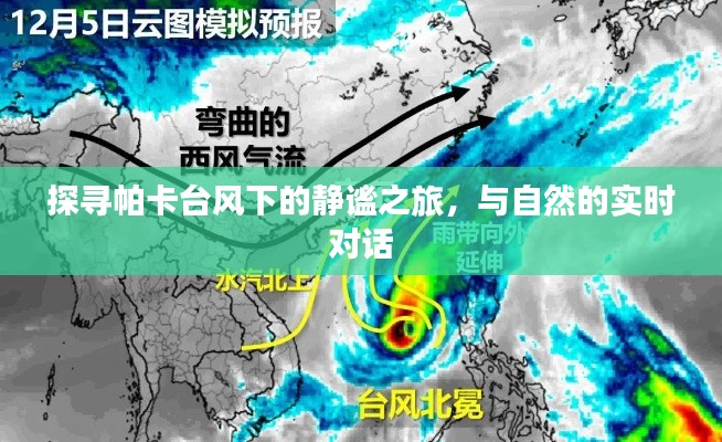 帕卡台风下的静谧之旅，与自然实时对话的探险之旅