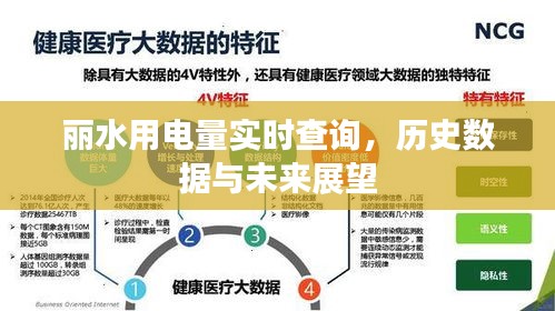 丽水用电量实时查询，历史数据回顾与未来展望