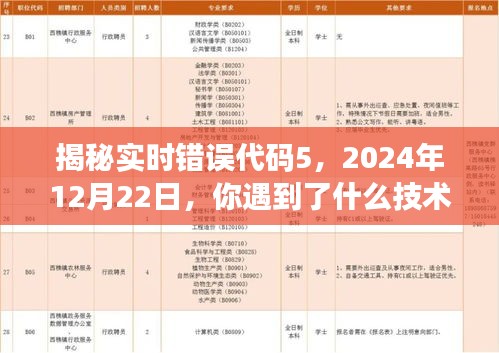 揭秘实时错误代码5，技术问题的深度解析与应对之道（2024年12月22日）