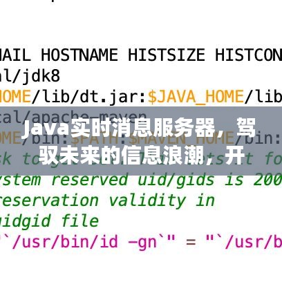 Java实时消息服务器，驾驭信息浪潮，启程技术自信之旅