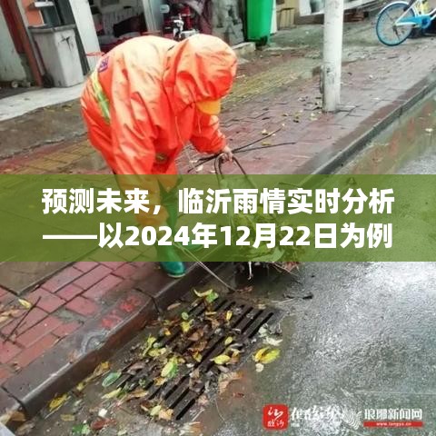 临沂雨情预测，实时分析未来雨情趋势（以2024年12月22日为例）