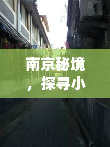 南京小巷深处的独特风情，秘境小店与实时路况之旅