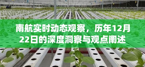 南航实时动态观察，历年12月22日深度洞察报告