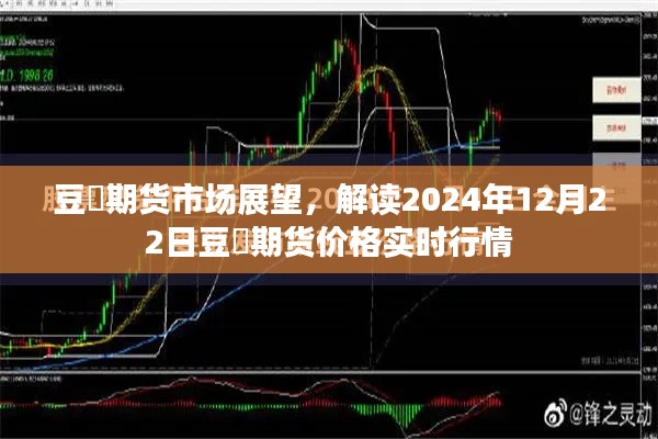 豆粨期货市场展望，解读实时行情与未来趋势预测（针对2024年12月22日）