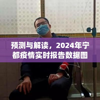 2024年宁都疫情实时报告数据图分析与预测解读