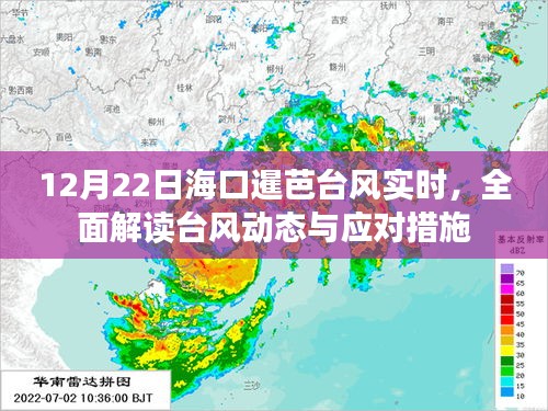 海口暹芭台风最新动态，全面解读台风应对与实时动态（12月22日）