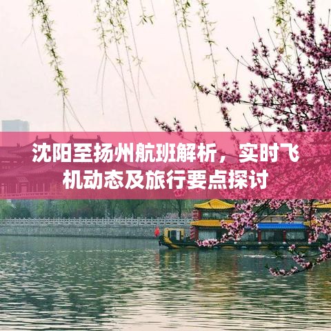 沈阳至扬州航班详解，实时动态与旅行要点全解析