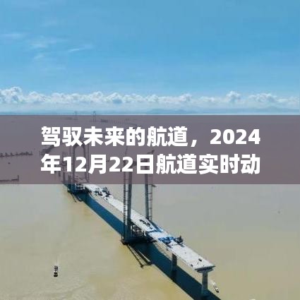 驾驭未来航道，实时动态查询软件的励志之旅（2024年12月22日）