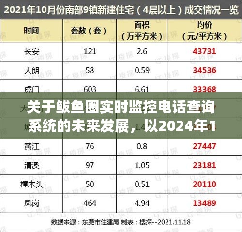 鲅鱼圈实时监控电话查询系统未来展望，以2024年为时间点的预测分析