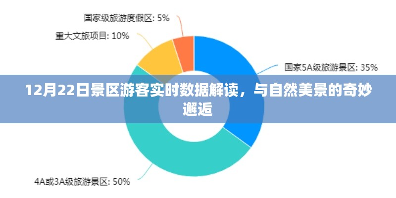 12月22日景区游客实时数据解读，与自然美景的浪漫邂逅