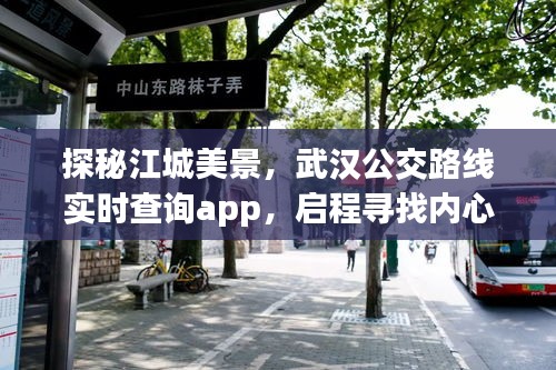 武汉公交路线实时查询app，启程探秘江城美景，寻找宁静之旅