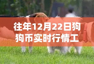 深度解析狗狗币实时行情工具，实用指南与往年趋势回顾