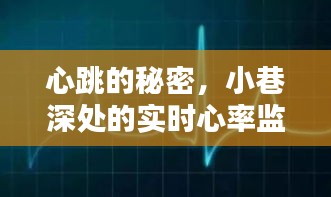 心跳的秘密，小巷深处的实时心率监测小天地探索