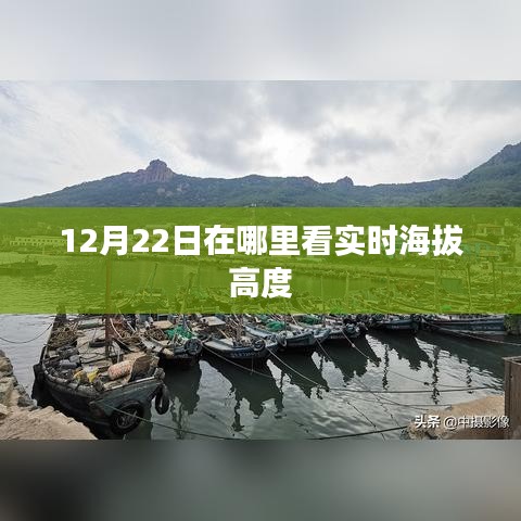 12月22日实时海拔高度查询地点