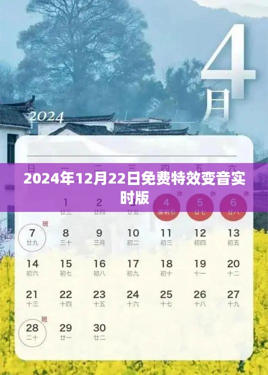 实时免费特效变音体验版，2024年12月上线