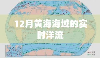 黄海海域12月实时洋流动态解析