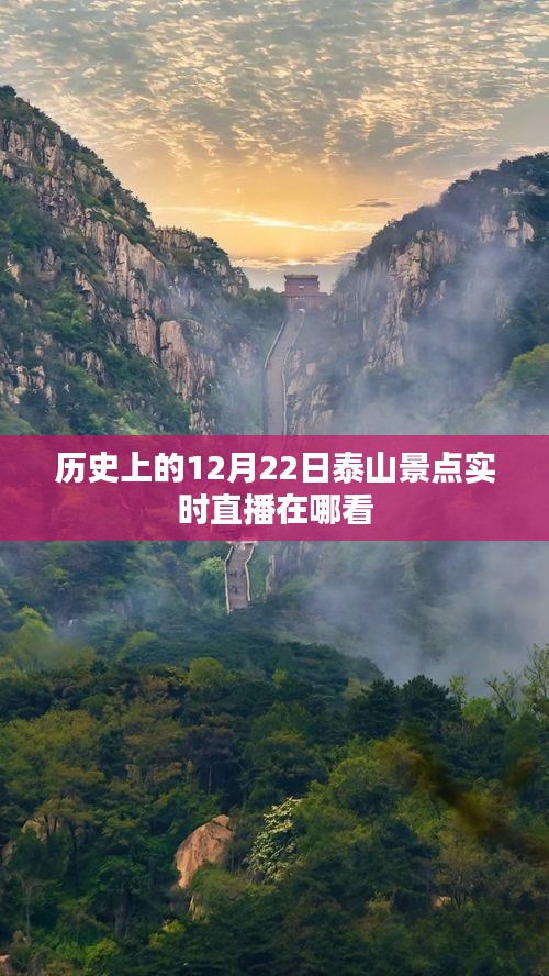 泰山景点历史直播回顾，探寻12月22日实时直播之旅