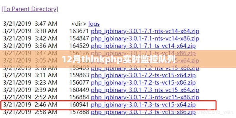 ThinkPHP实时监控系统队列操作指南