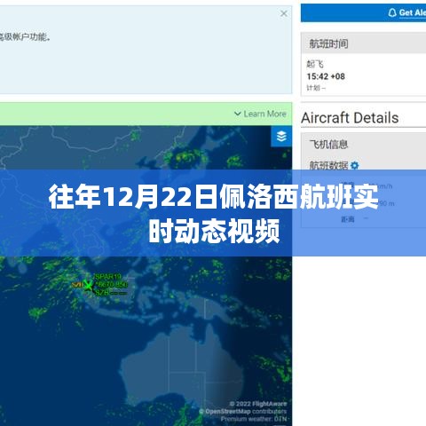 往年12月22日佩洛西航班实时动态视频
