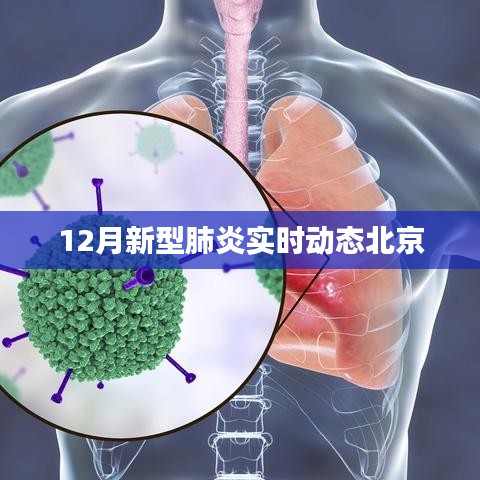 北京新型肺炎实时动态更新