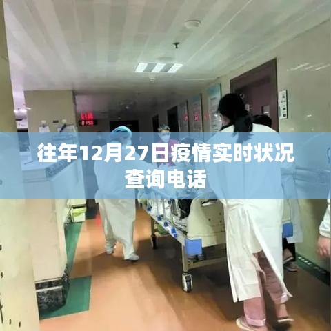 关于疫情实时状况查询电话的相关信息