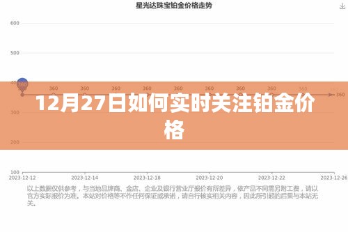 铂金价格实时追踪，12月27日动态更新