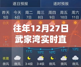 武家湾12月27日实时直播回顾