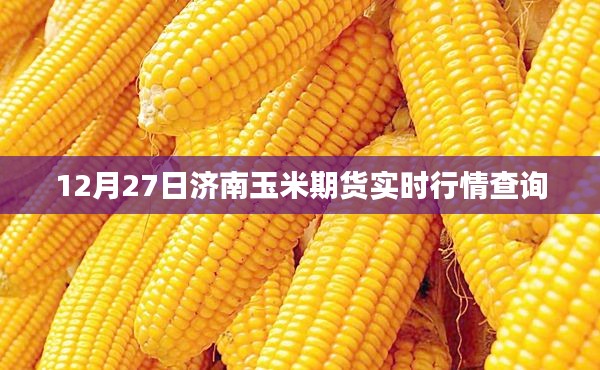 济南玉米期货最新实时行情查询（12月27日）