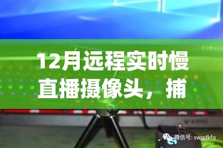 冬季慢直播，实时捕捉独特魅力的摄像头视角