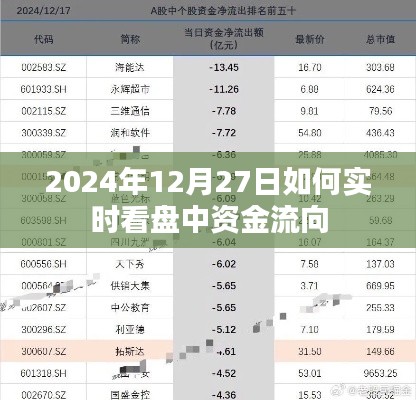 2024年12月27日股市实时资金流向观察指南