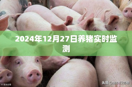 养猪实时监测数据发布，精准掌握猪场动态，助力高效养殖