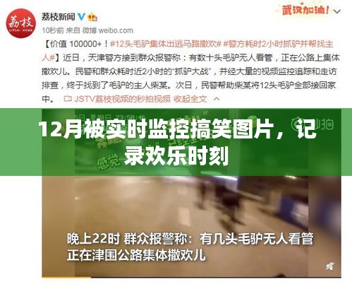 12月搞笑图片实时更新，欢乐时刻一网打尽