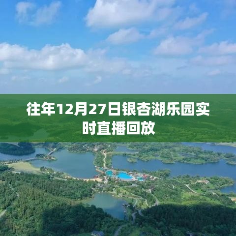 银杏湖乐园往年直播回放回顾，欢乐满溢的节日盛况