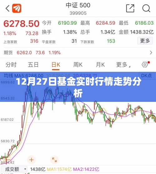 12月27日基金行情深度解析，实时走势分析