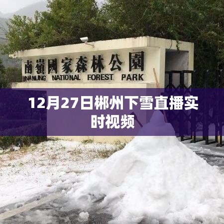 郴州下雪直播实时视频回放，12月27日精彩雪景不容错过