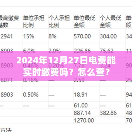 电费实时缴费指南，查询方法及操作步骤