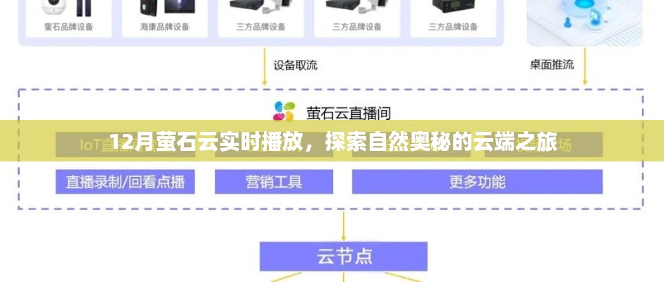 云端探秘，12月萤石云实时播放之旅