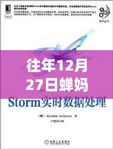 往年12月27日蝉妈妈数据实时查看问题解析