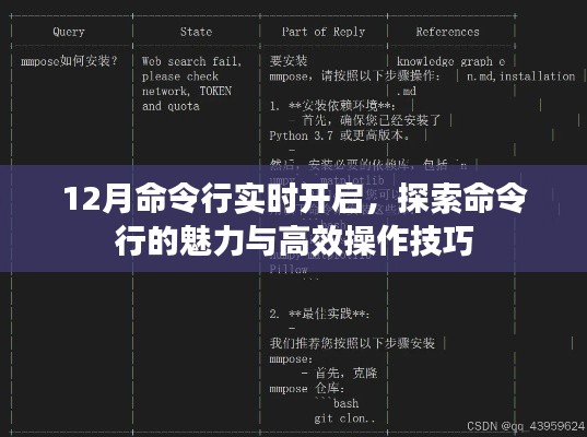 12月命令行实时开启，高效操作与魅力探索