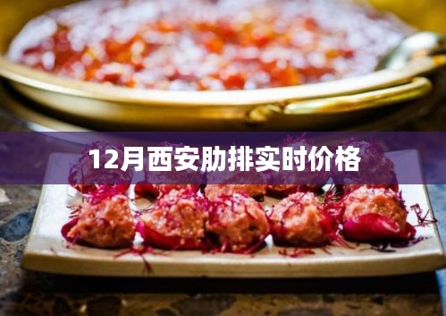 西安12月肋排最新实时价格