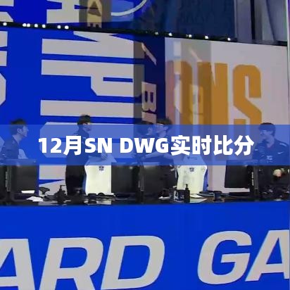 12月SN与DWG实时赛况更新，比分动态追踪