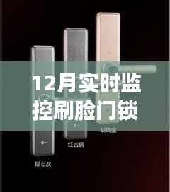 12月实时监控刷脸门锁，智能安全新标杆！