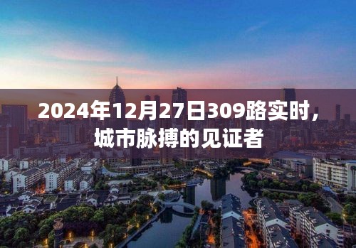 城市脉搏见证者，2024年12月27日309路实时动态