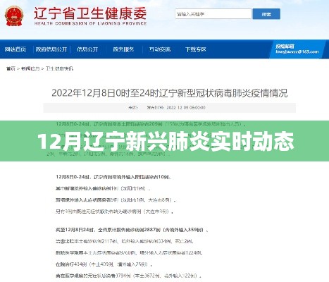 辽宁新兴肺炎最新实时动态（12月更新）