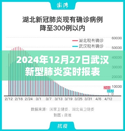 武汉新型肺炎实时报表（最新数据更新至2024年）